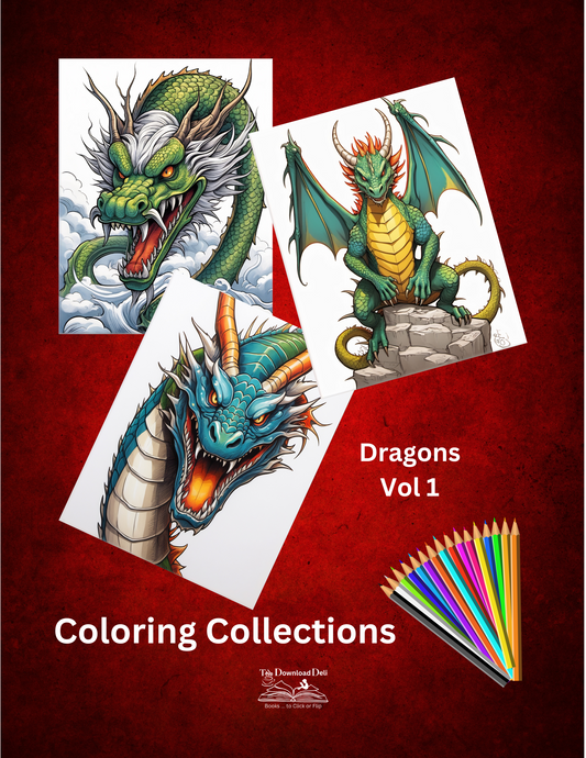 Dragons Colouring Book For Teenagers And Adults - Vol 1 - paperback